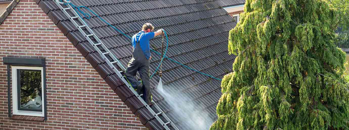 Nettoyage toiture -  PROMUSSET RENOV : couvreur dans le Loire-et-Cher (41). Nettoyage, démoussage, traitement anti mousse toiture et peinture hydrofuge toit. Artisan couvreur dans le Loire-et-Cher (41) ainsi que les départements limitrophes :  l’Indre (36), le Loiret (45) et le Cher (18)