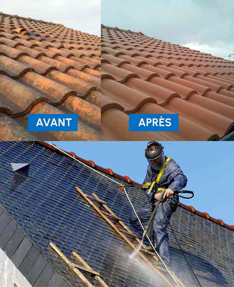 Nettoyage toiture -  PROMUSSET RENOV : couvreur dans le Loire-et-Cher (41). Nettoyage, démoussage, traitement anti mousse toiture et peinture hydrofuge toit. Artisan couvreur dans le Loire-et-Cher (41) ainsi que les départements limitrophes :  l’Indre (36), le Loiret (45) et le Cher (18)