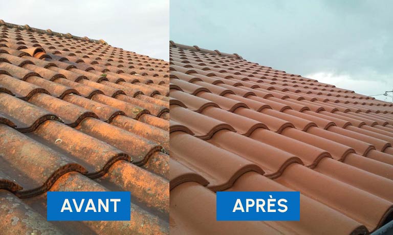 Nettoyage toiture -  PROMUSSET RENOV : couvreur dans le Loire-et-Cher (41). Nettoyage, démoussage, traitement anti mousse toiture et peinture hydrofuge toit. Artisan couvreur dans le Loire-et-Cher (41) ainsi que les départements limitrophes :  l’Indre (36), le Loiret (45) et le Cher (18)