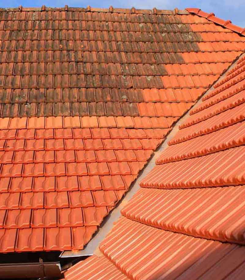 Nettoyage toiture -  PROMUSSET RENOV : couvreur dans le Loire-et-Cher (41). Nettoyage, démoussage, traitement anti mousse toiture et peinture hydrofuge toit. Artisan couvreur dans le Loire-et-Cher (41) ainsi que les départements limitrophes :  l’Indre (36), le Loiret (45) et le Cher (18)