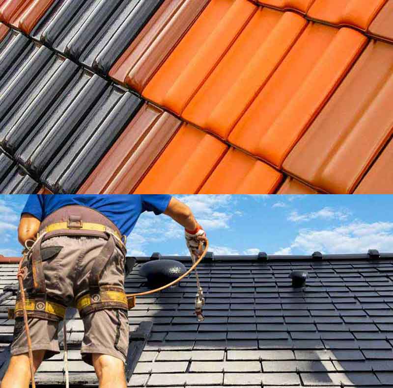 Nettoyage toiture -  PROMUSSET RENOV : couvreur dans le Loire-et-Cher (41). Nettoyage, démoussage, traitement anti mousse toiture et peinture hydrofuge toit. Artisan couvreur dans le Loire-et-Cher (41) ainsi que les départements limitrophes :  l’Indre (36), le Loiret (45) et le Cher (18)