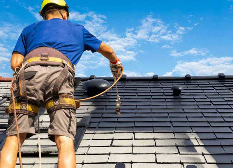 Nettoyage toiture -  PROMUSSET RENOV : couvreur dans le Loire-et-Cher (41). Nettoyage, démoussage, traitement anti mousse toiture et peinture hydrofuge toit. Artisan couvreur dans le Loire-et-Cher (41) ainsi que les départements limitrophes :  l’Indre (36), le Loiret (45) et le Cher (18)