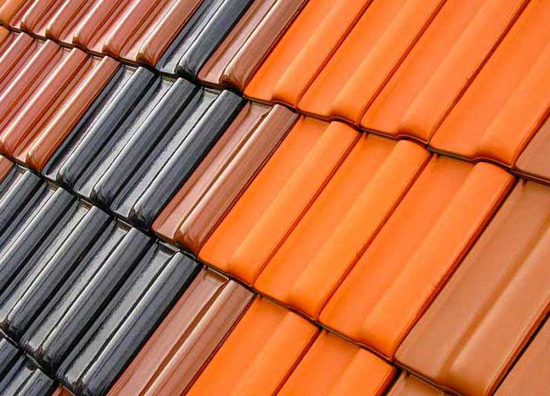 Nettoyage toiture -  PROMUSSET RENOV : couvreur dans le Loire-et-Cher (41). Nettoyage, démoussage, traitement anti mousse toiture et peinture hydrofuge toit. Artisan couvreur dans le Loire-et-Cher (41) ainsi que les départements limitrophes :  l’Indre (36), le Loiret (45) et le Cher (18)