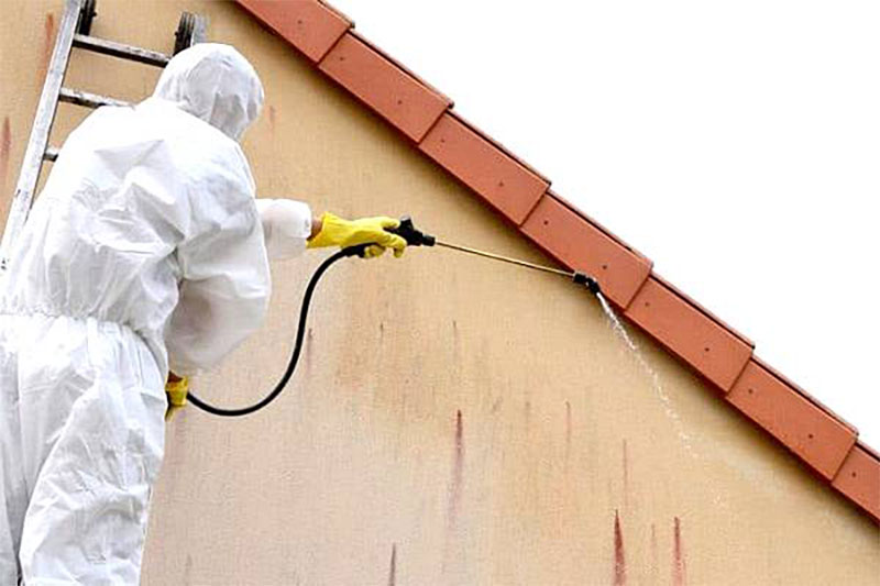 Nettoyage et peinture façade - PROMUSSET RENOV : artisan peintre dans le Loire-et-Cher (41) : Nettoyage, démoussage, traitement anti mousse, ravalement peinture boiserie ferronnerie et imperméabilisation façade dans le Loire-et-Cher (41)