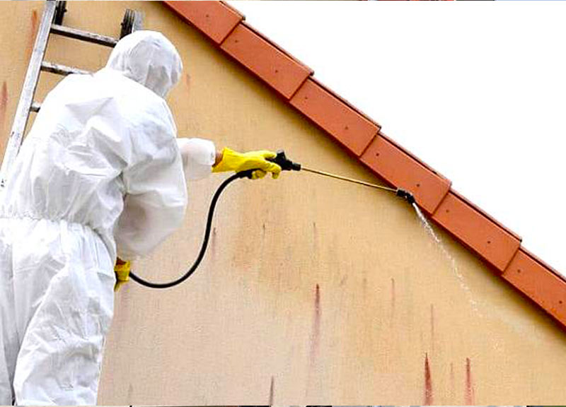 PROMUSSET RENOV : Artisan couvreur dans le Loire-et-Cher (41) : Travaux de couverture, zinguerie, nettoyage démoussage peinture hydrofuge toiture, étanchéité toit terrasse, ravalement peinture façade, imperméabilisation façade, nettoyage des extérieurs. ... dans le Loire-et-Cher (41) ainsi que les départements limitrophes :  l’Indre (36), le Loiret (45) et le Cher (18)